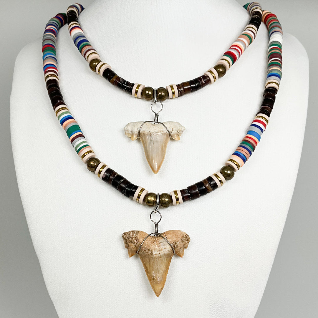 Fossilized Shark Tooth Necklace