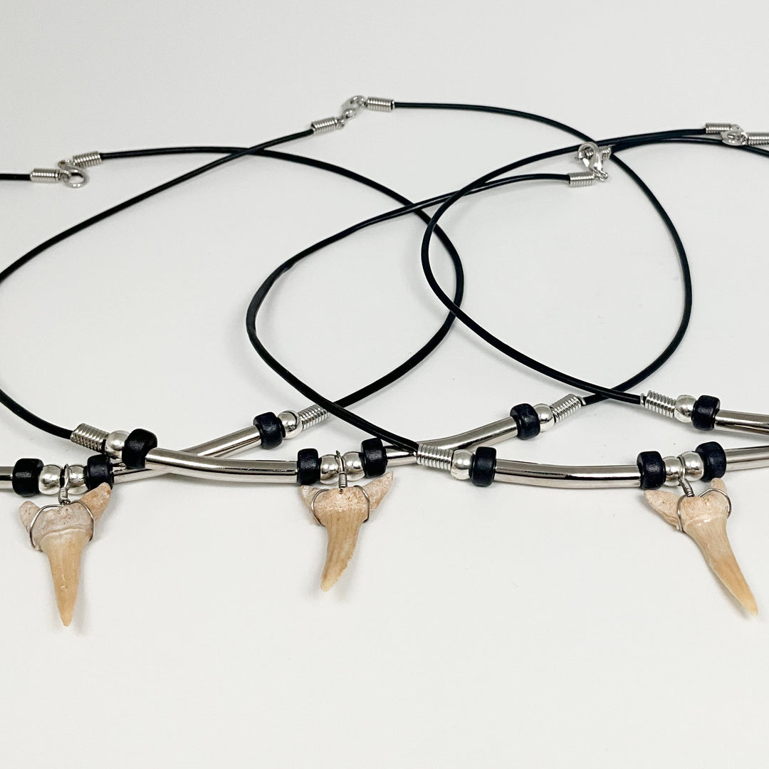 Fossilized Shark Tooth Necklace