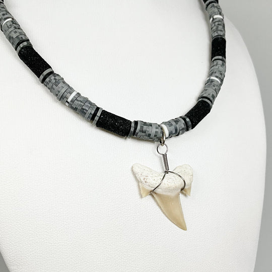 Fossilized Shark Tooth Necklace