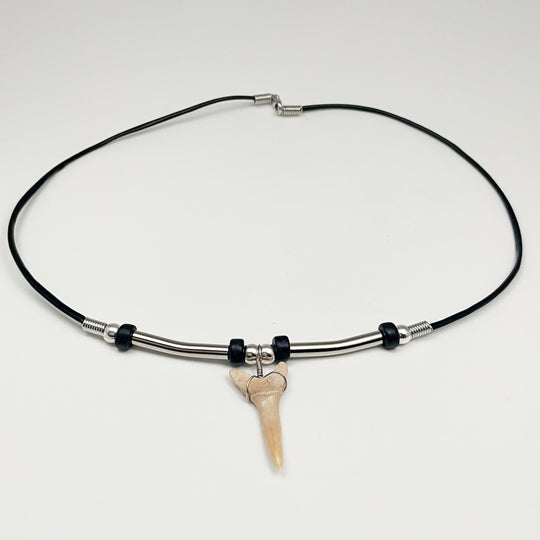 Fossilized Shark Tooth Necklace