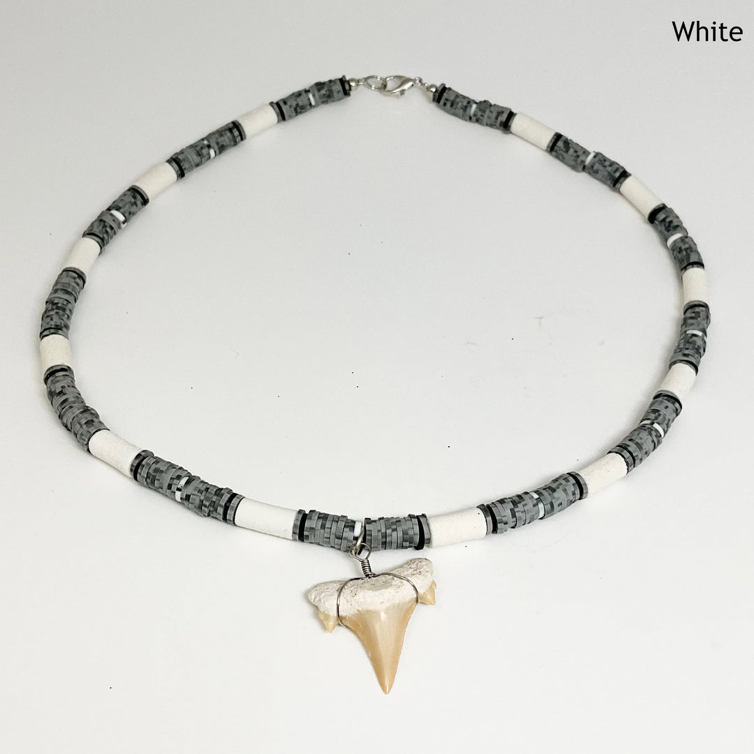 Fossilized Shark Tooth Necklace