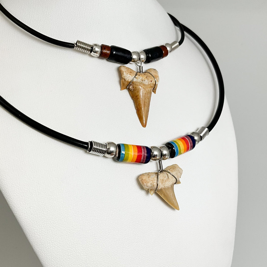 Fossilized Shark Tooth Necklace