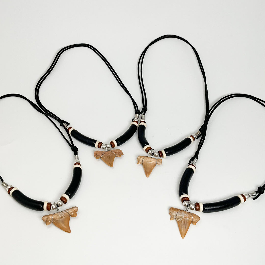 Fossilized Shark Tooth Necklace