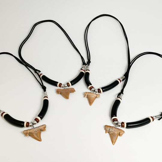 Fossilized Shark Tooth Necklace