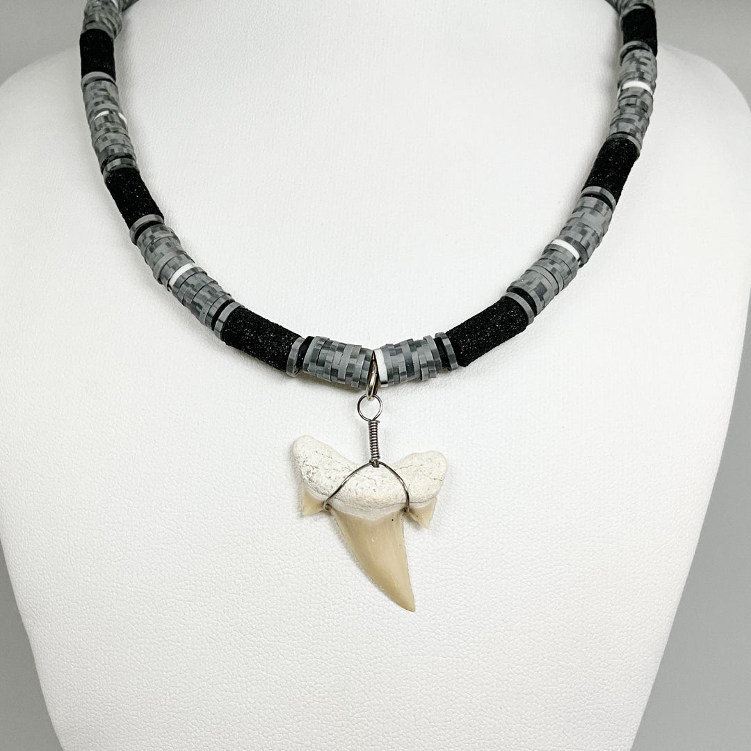 Fossilized Shark Tooth Necklace