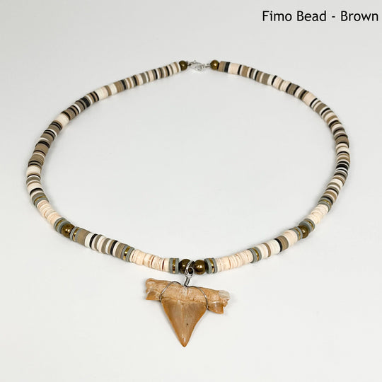 Fossilized Shark Tooth Necklace