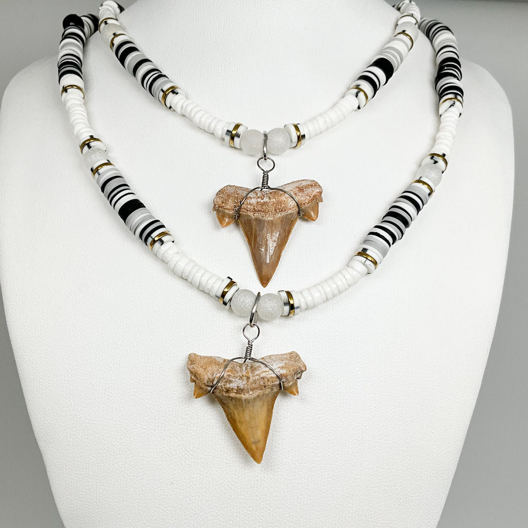 Fossilized Shark Tooth Necklace