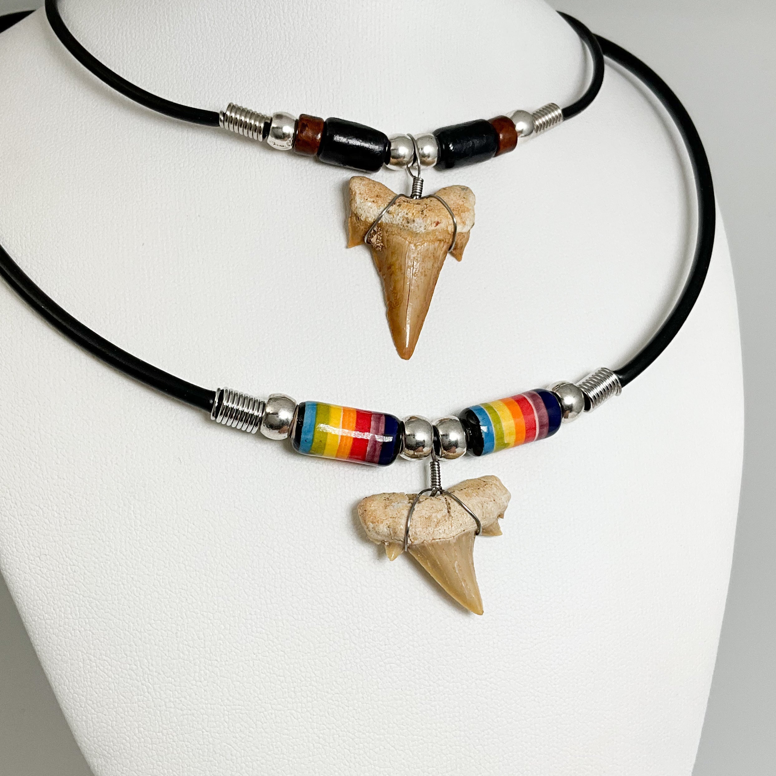 Fossilized Shark Tooth Necklace