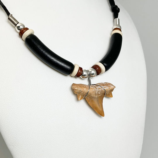 Fossilized Shark Tooth Necklace