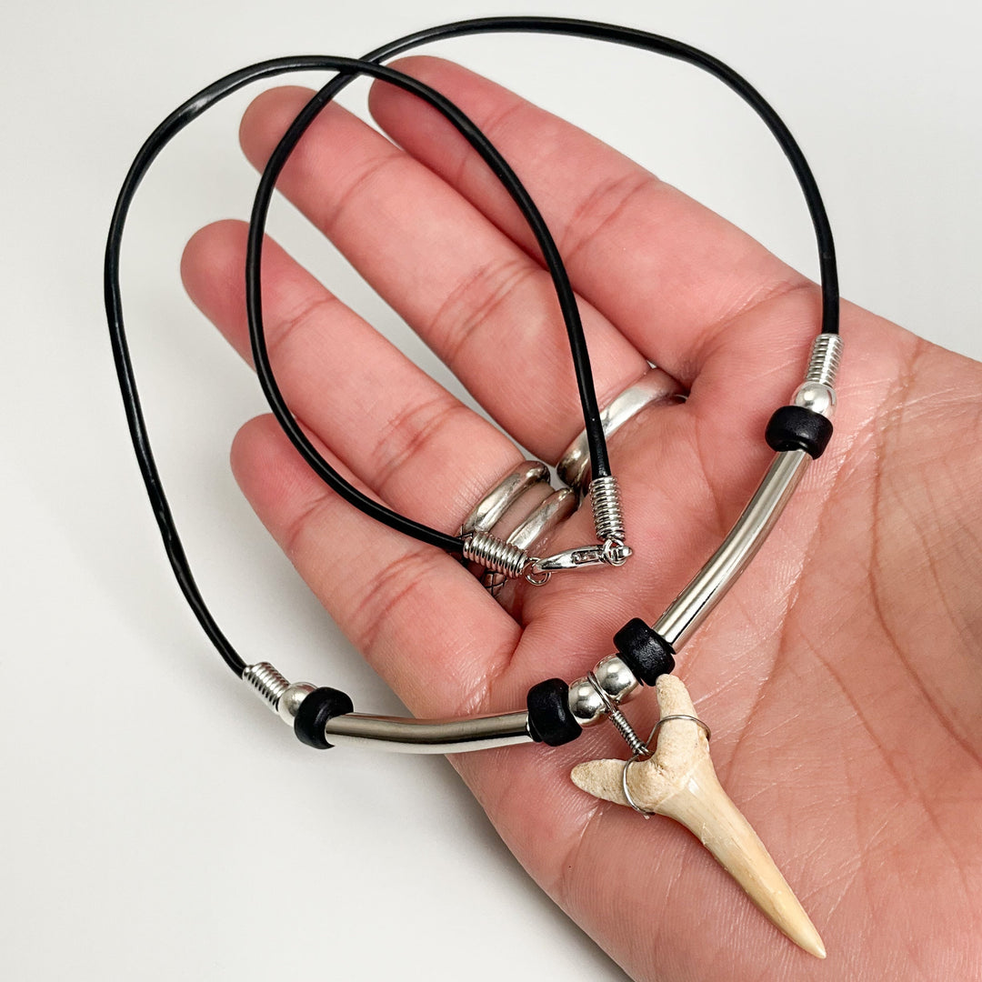 Fossilized Shark Tooth Necklace