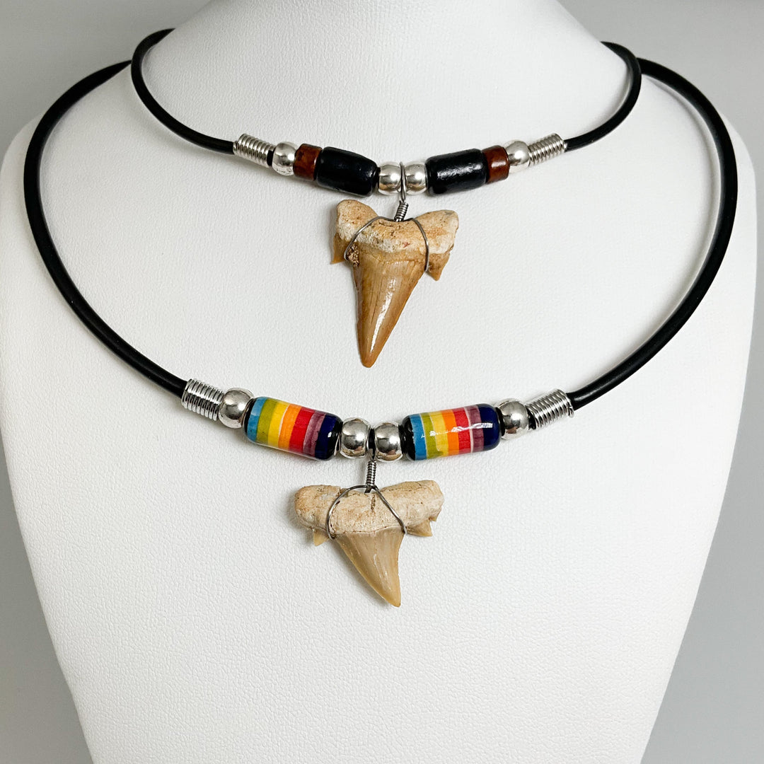 Fossilized Shark Tooth Necklace