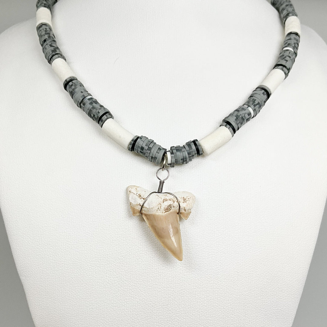 Fossilized Shark Tooth Necklace