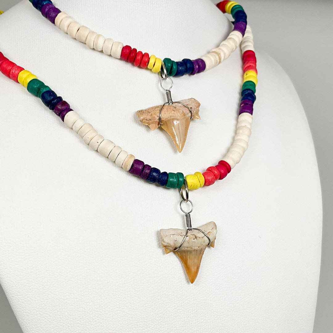 Fossilized Shark Tooth Necklace