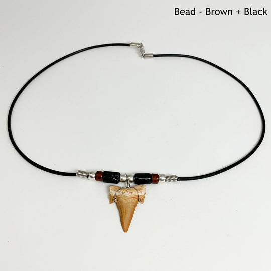 Fossilized Shark Tooth Necklace