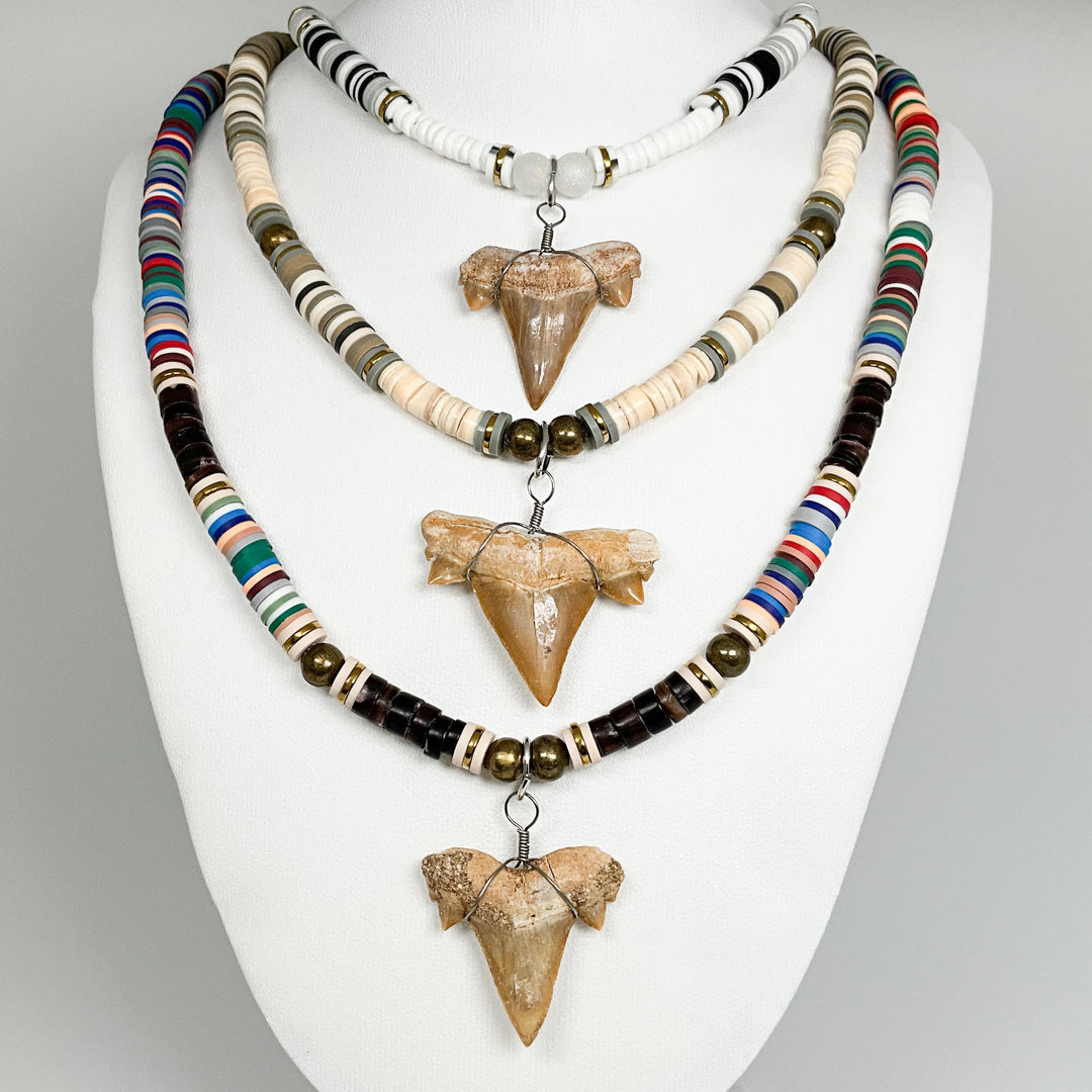 Fossilized Shark Tooth Necklace