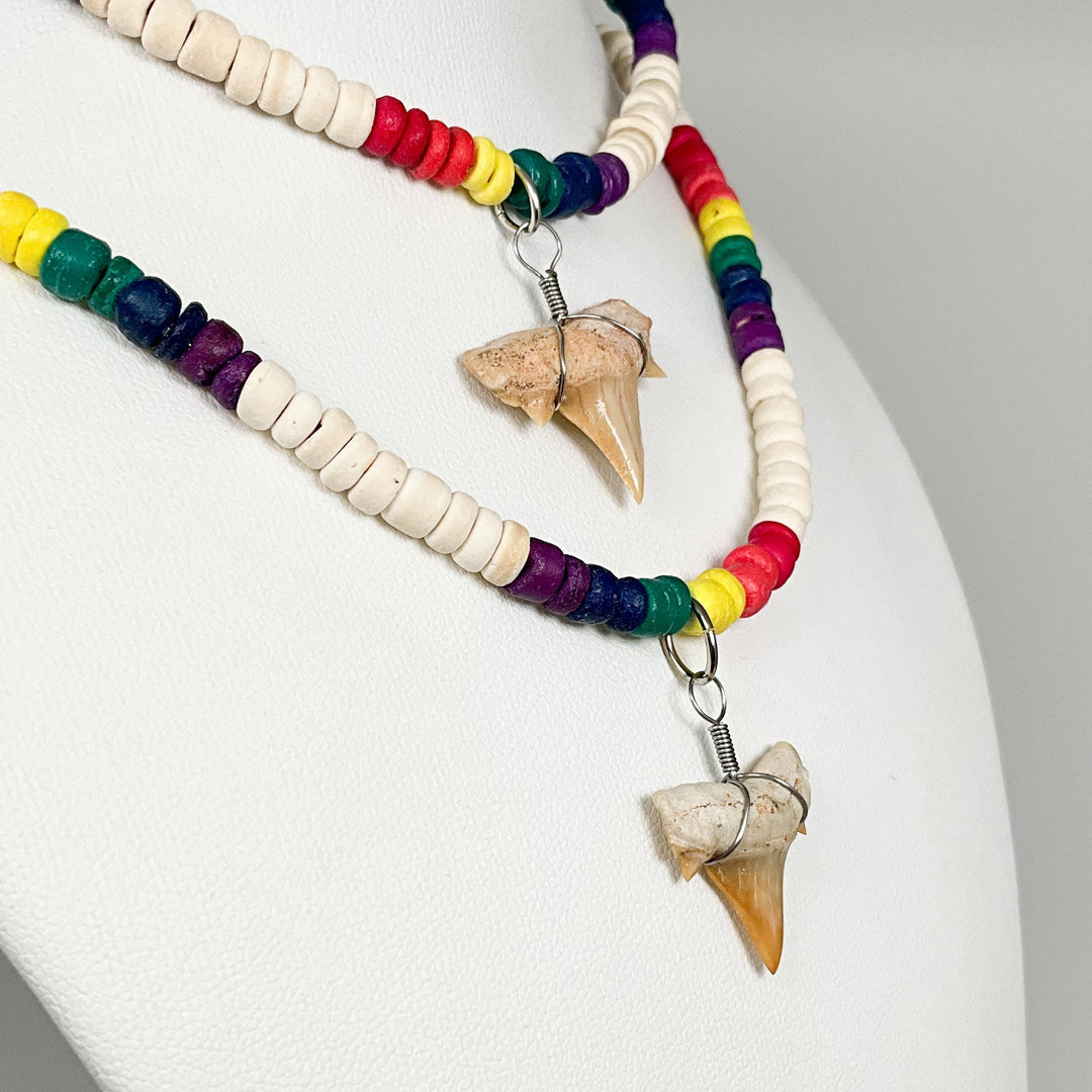 Fossilized Shark Tooth Necklace