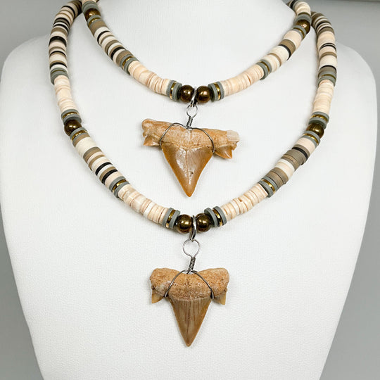 Fossilized Shark Tooth Necklace