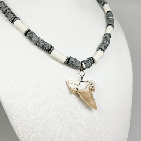 Fossilized Shark Tooth Necklace