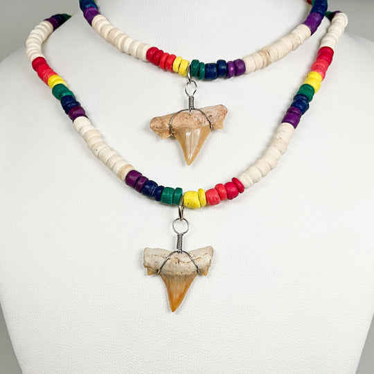 Fossilized Shark Tooth Necklace