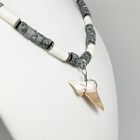 Fossilized Shark Tooth Necklace