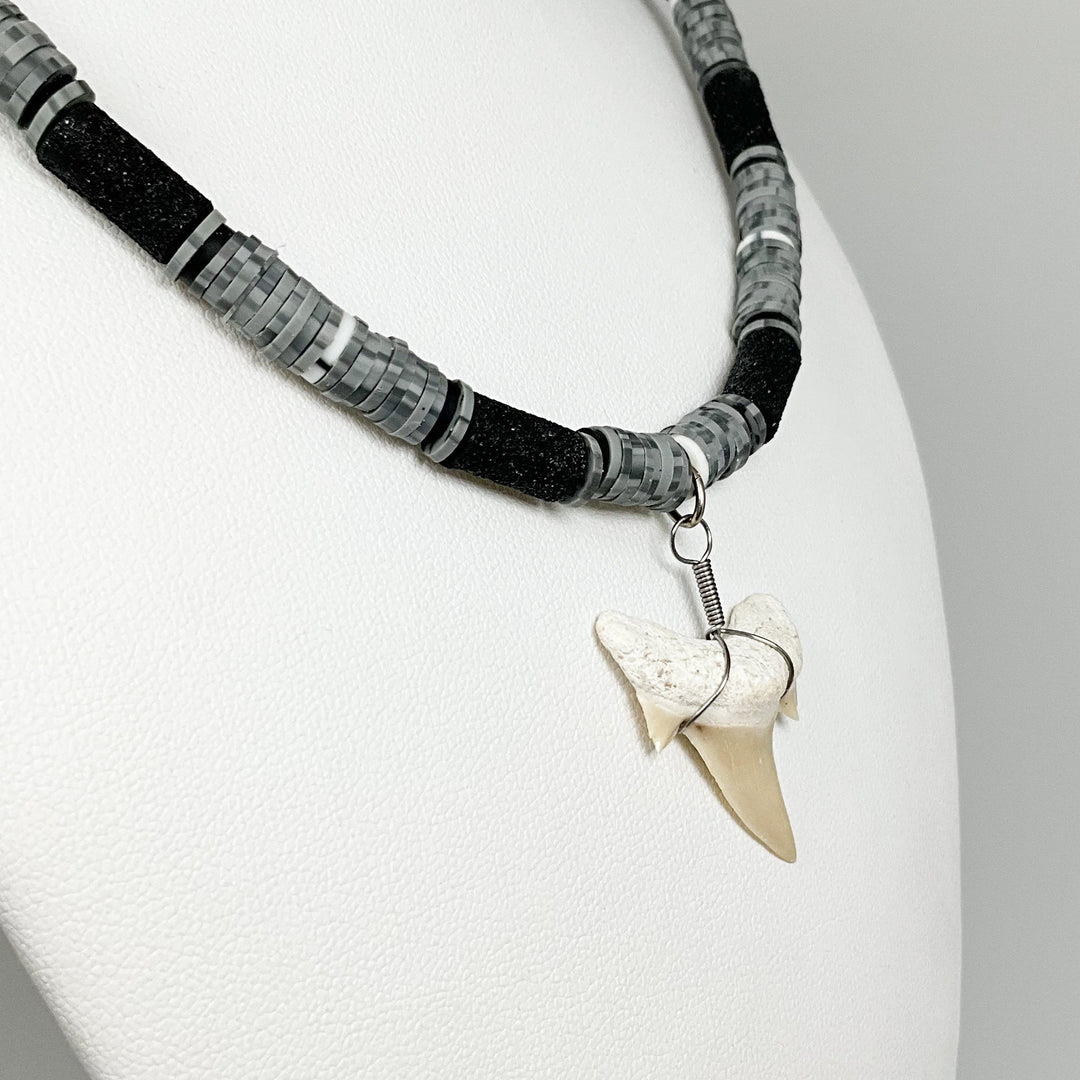 Fossilized Shark Tooth Necklace