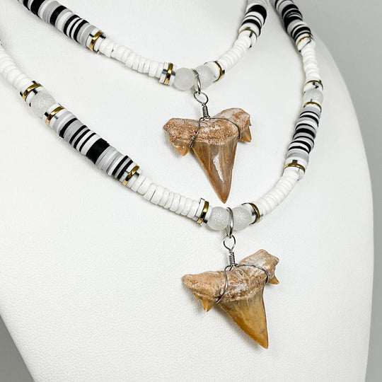 Fossilized Shark Tooth Necklace