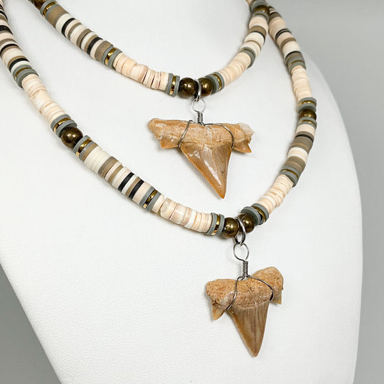 Fossilized Shark Tooth Necklace