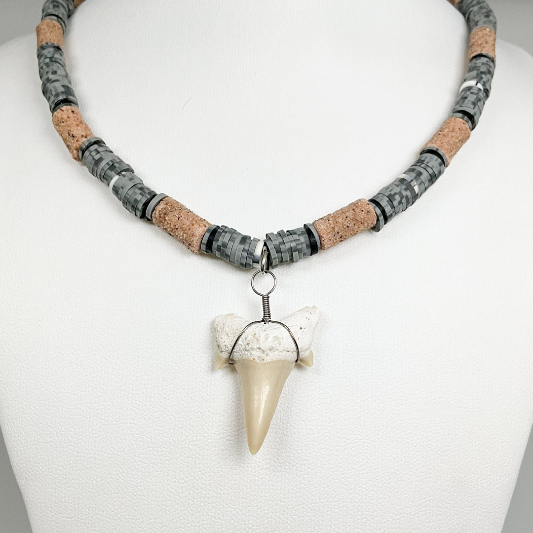 Fossilized Shark Tooth Necklace