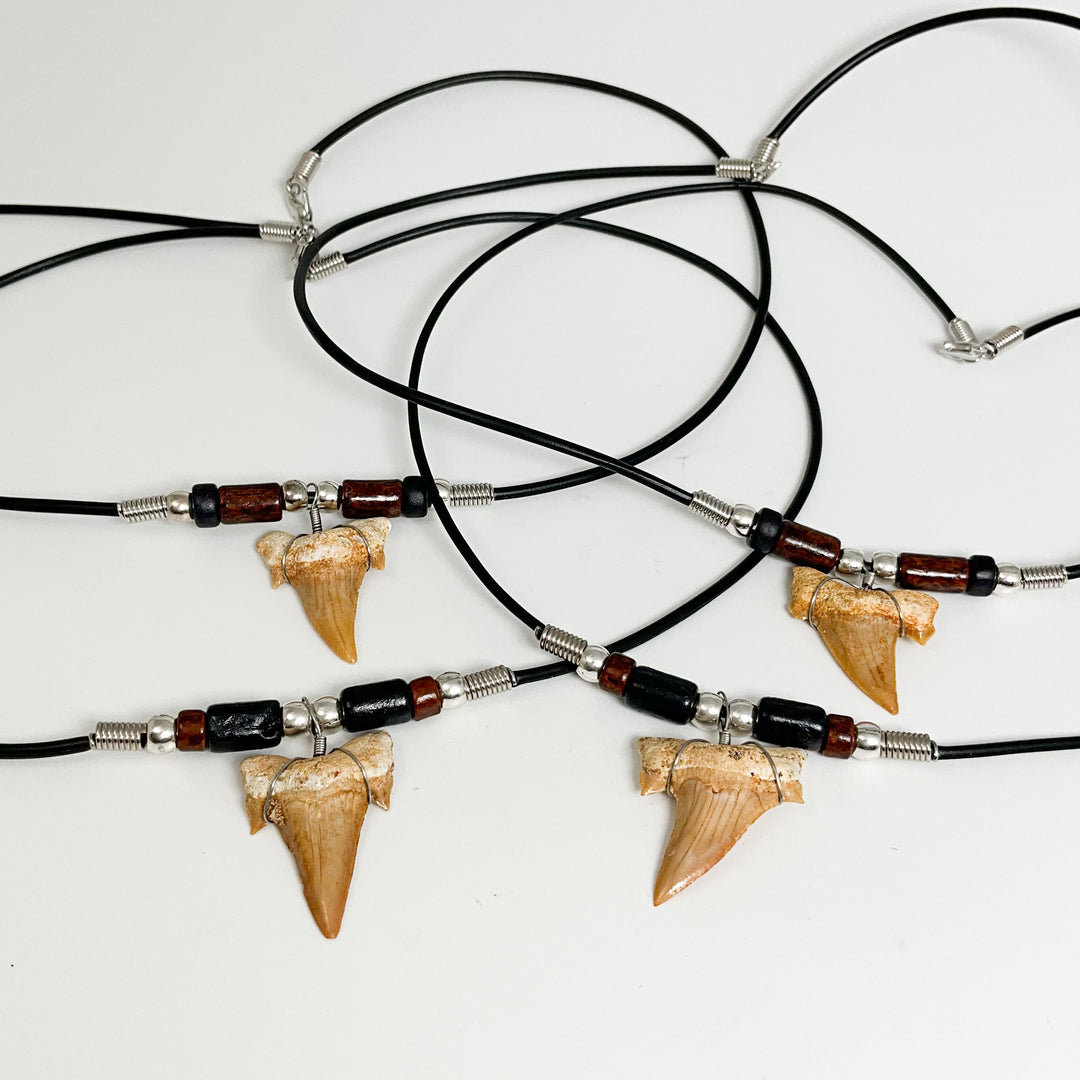 Fossilized Shark Tooth Necklace