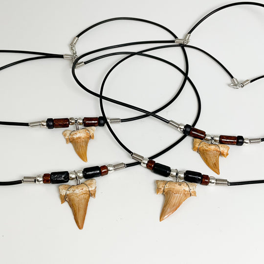 Fossilized Shark Tooth Necklace