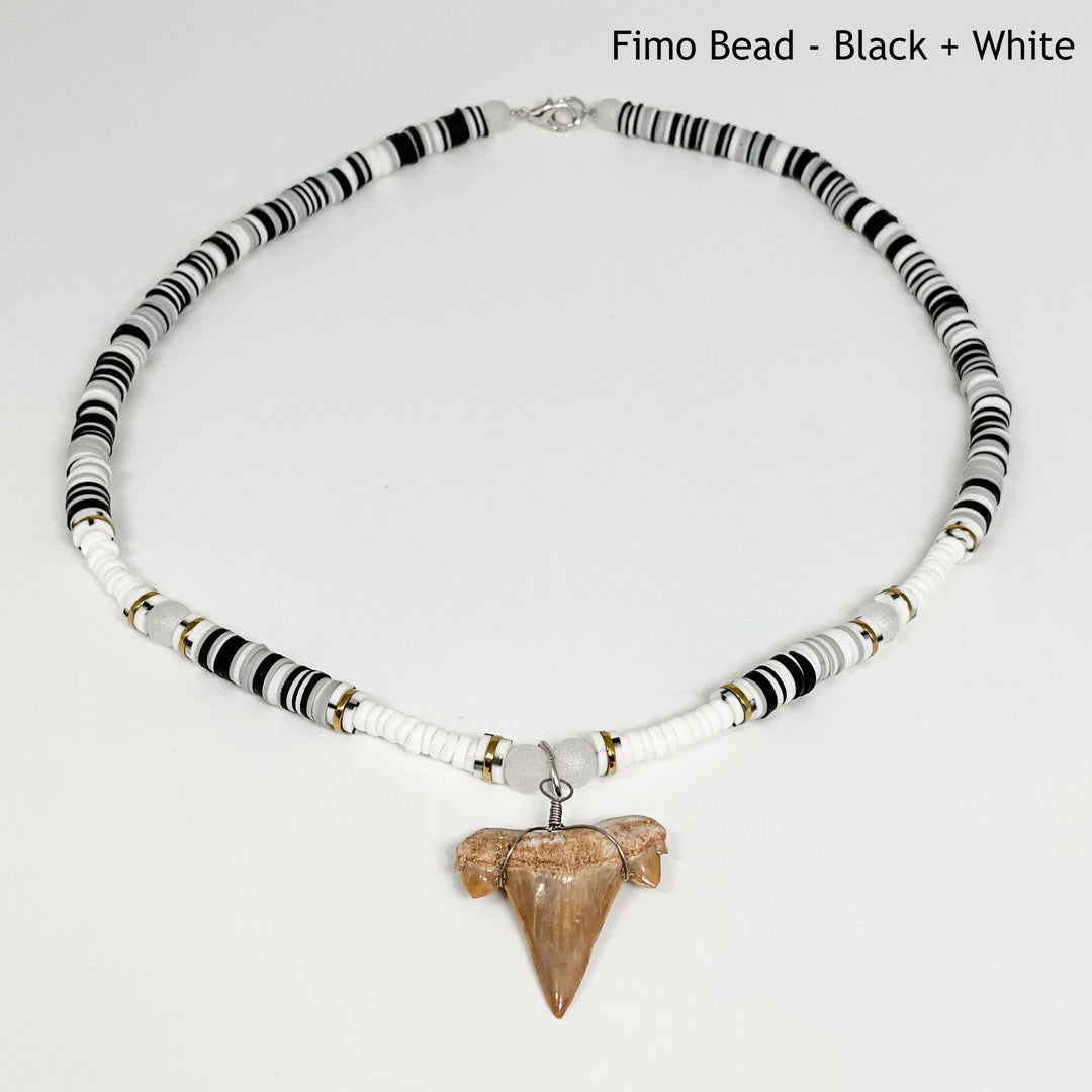 Fossilized Shark Tooth Necklace