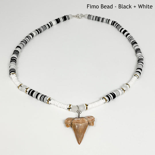 Fossilized Shark Tooth Necklace