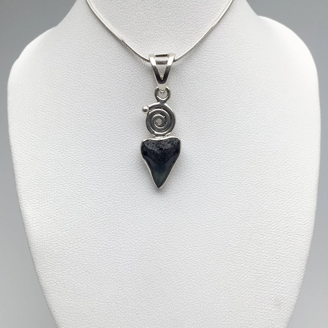 Fossilized Shark Tooth Pendant