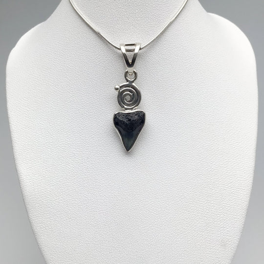 Fossilized Shark Tooth Pendant