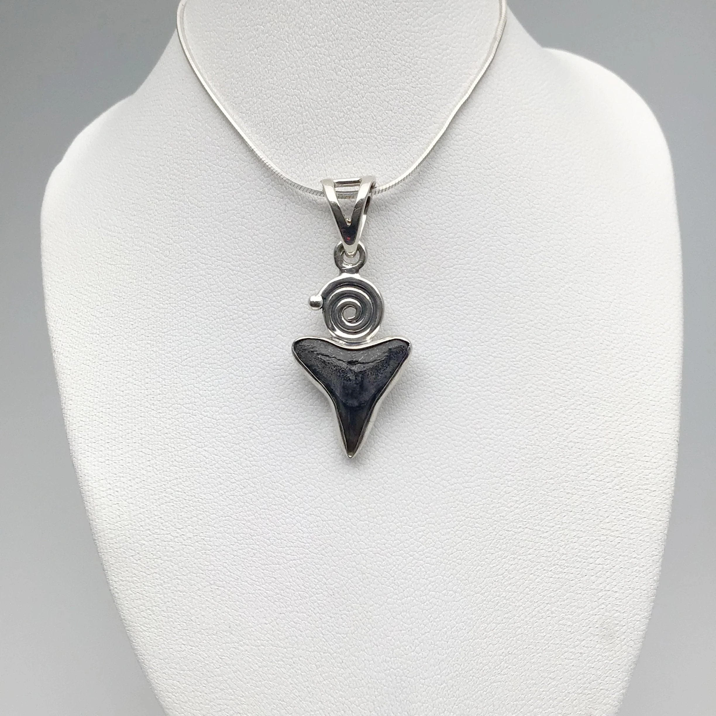 Fossilized Shark Tooth Pendant