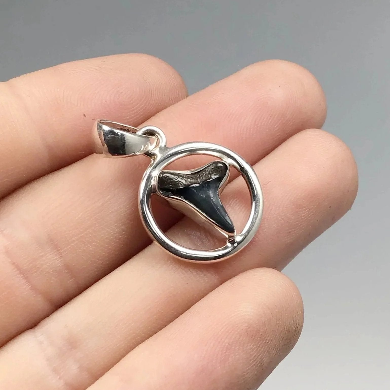 Fossilized Shark Tooth Pendant