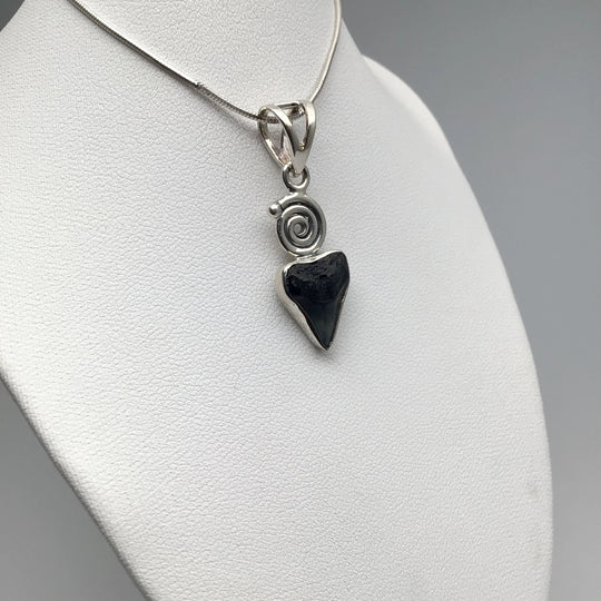 Fossilized Shark Tooth Pendant