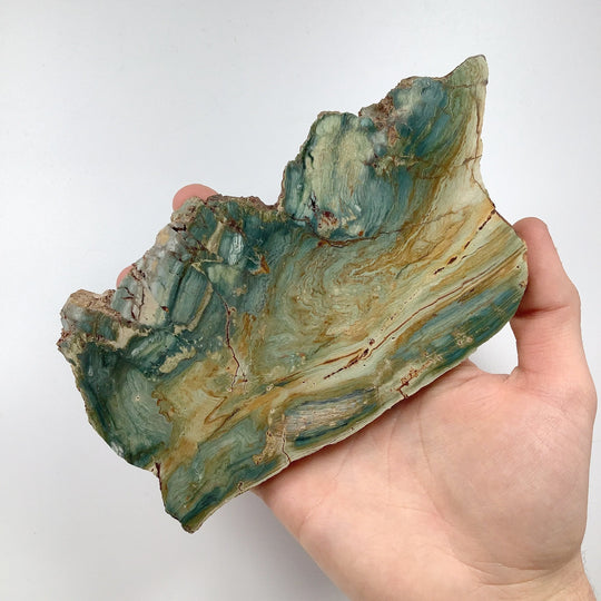 Gary Green Jasper Slab