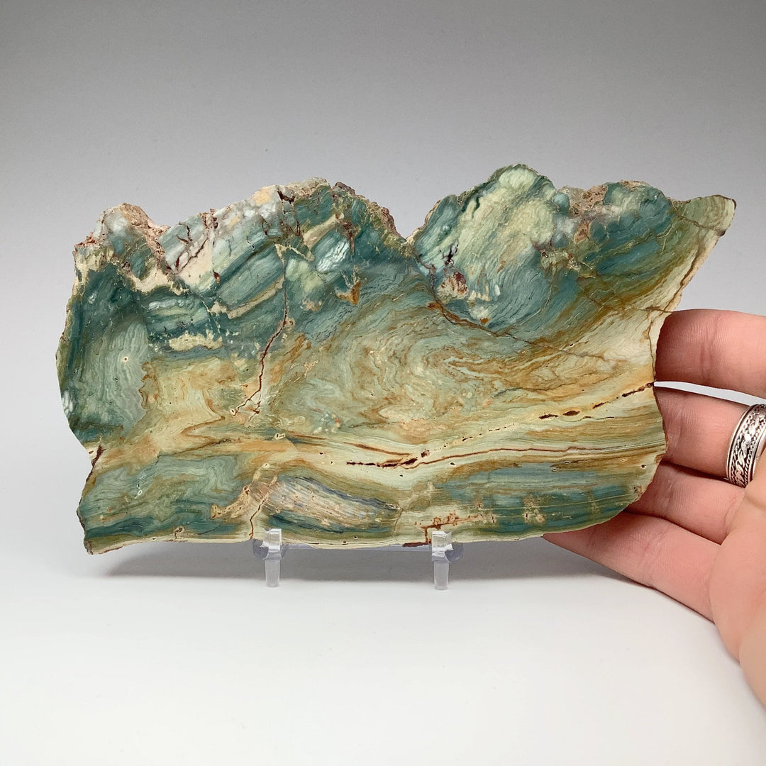 Gary Green Jasper Slab