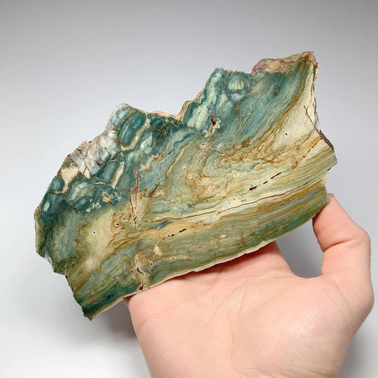 Gary Green Jasper Slab