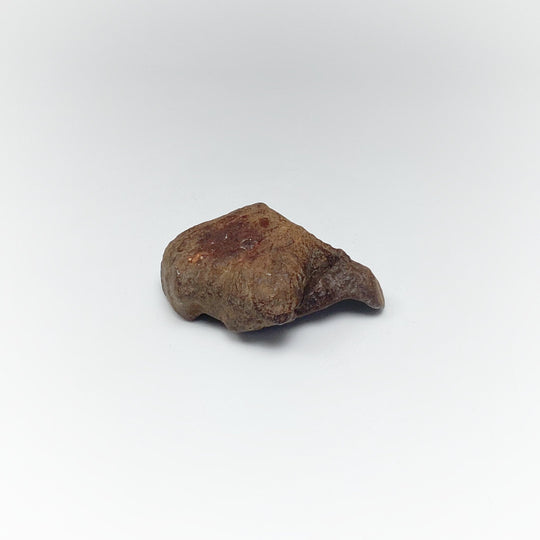 Gebel Kamil Meteorite