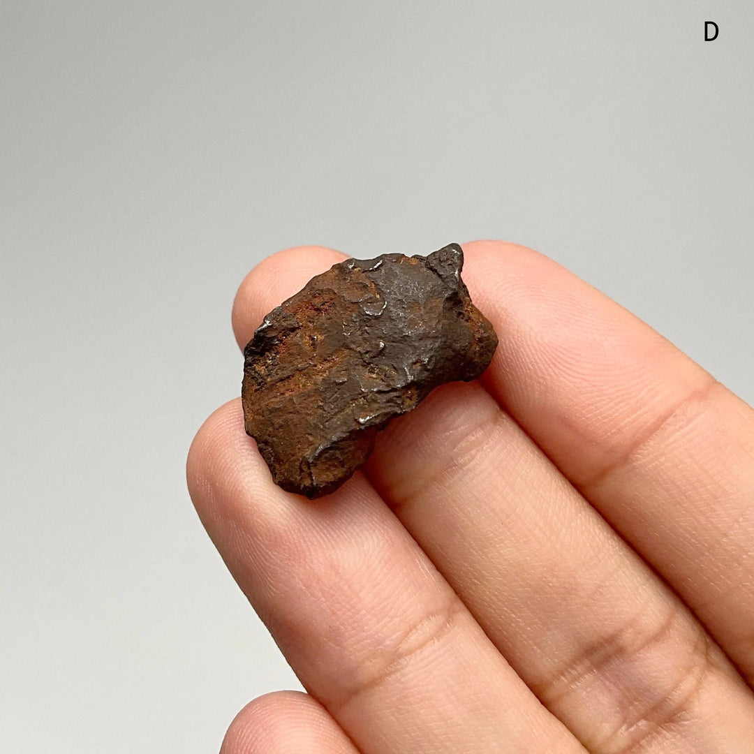 Gebel Kamil Meteorite