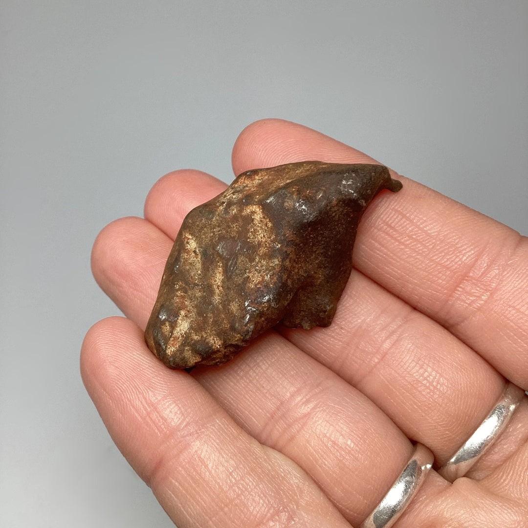 Gebel Kamil Meteorite