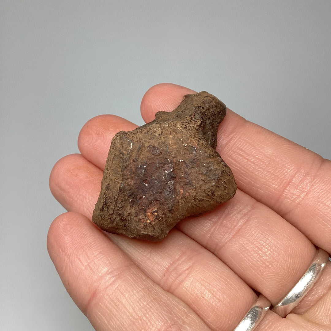 Gebel Kamil Meteorite