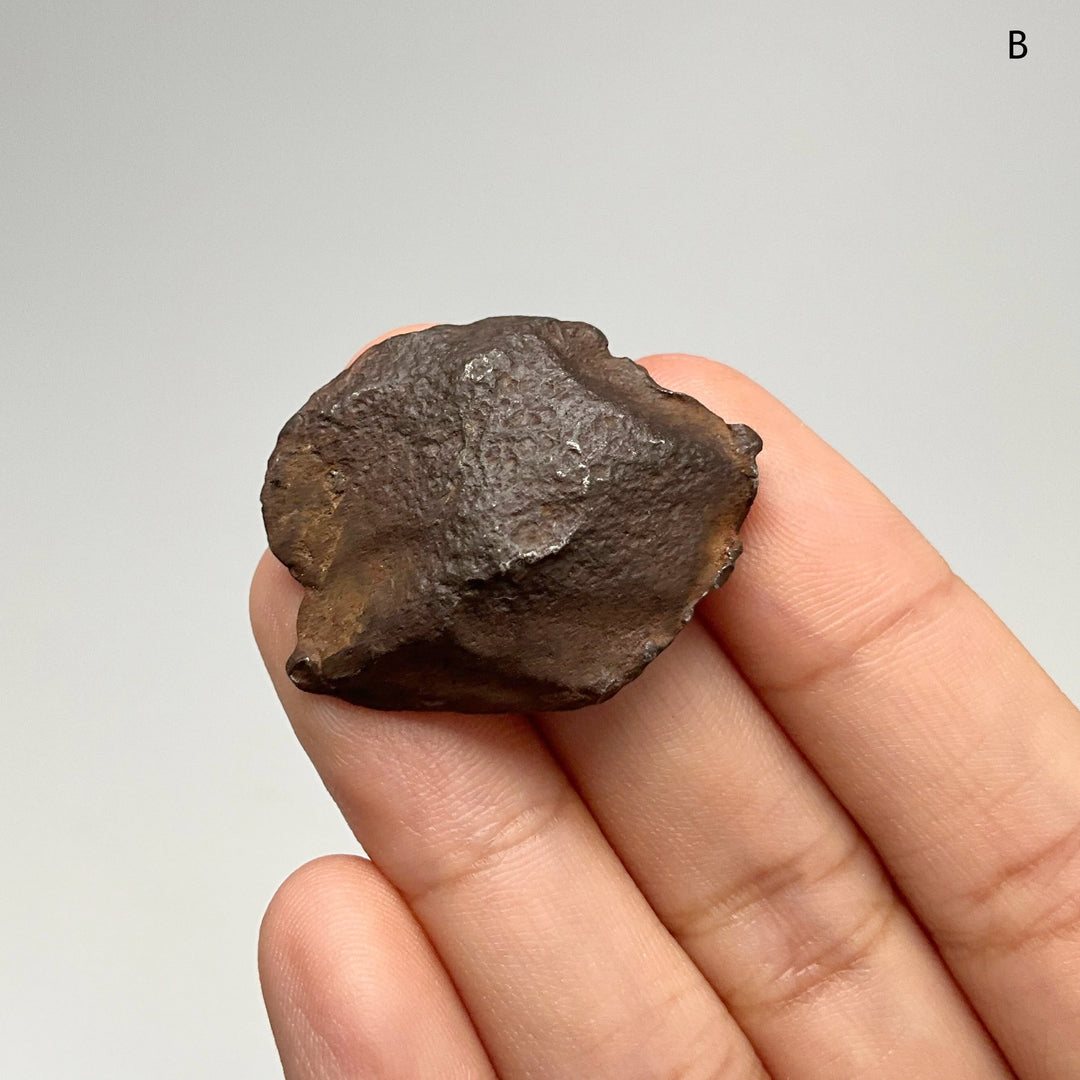 Gebel Kamil Meteorite