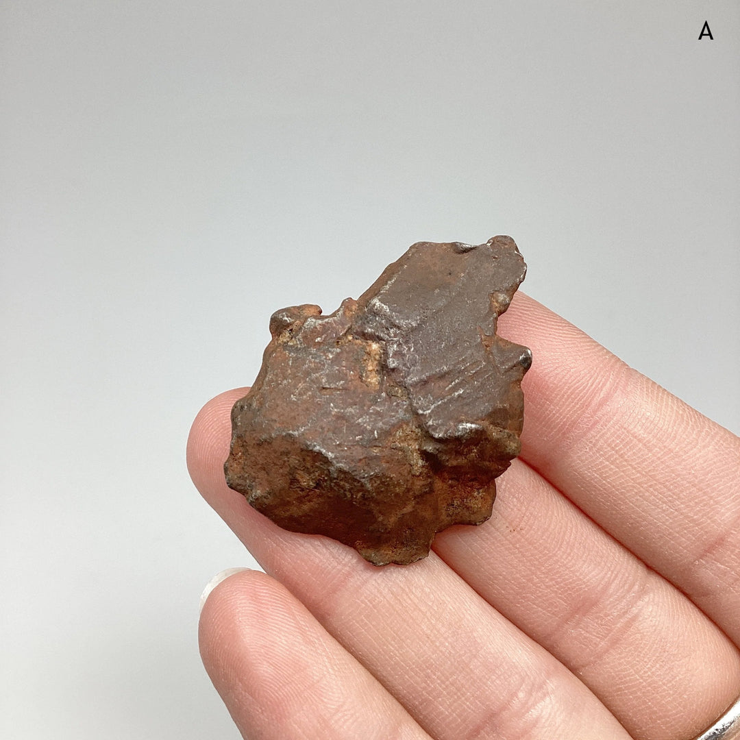 Gebel Kamil Meteorite