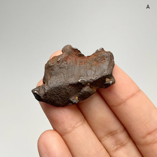 Gebel Kamil Meteorite