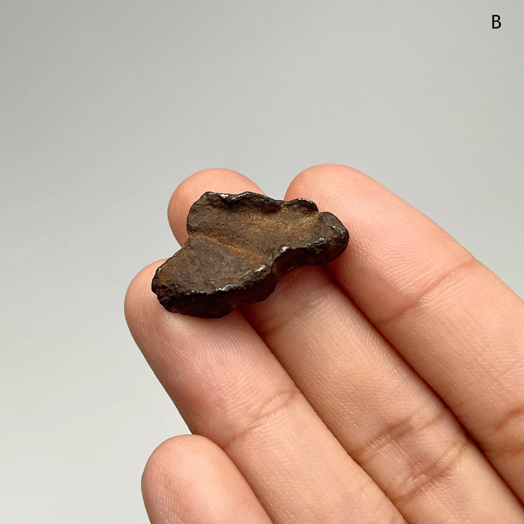 Gebel Kamil Meteorite