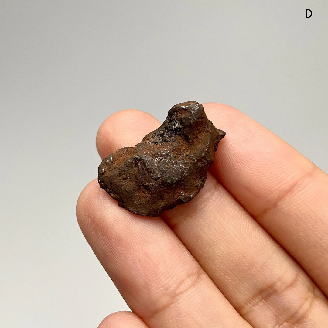 Gebel Kamil Meteorite