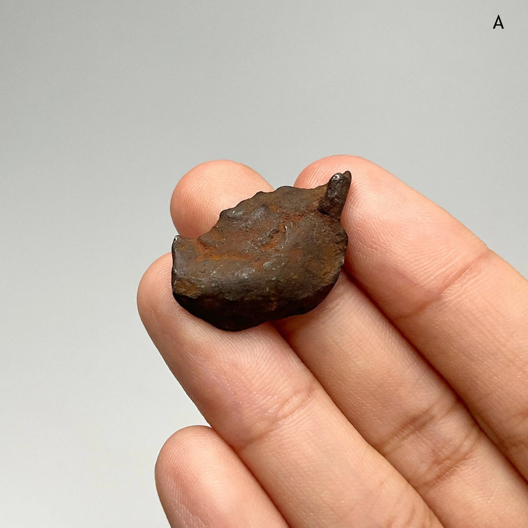 Gebel Kamil Meteorite